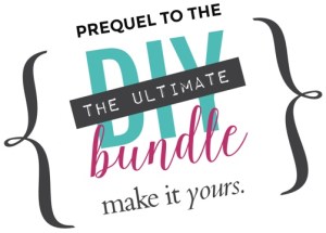 diy_bundle-11586ae301ce52ceb34b8e9a60e006f1